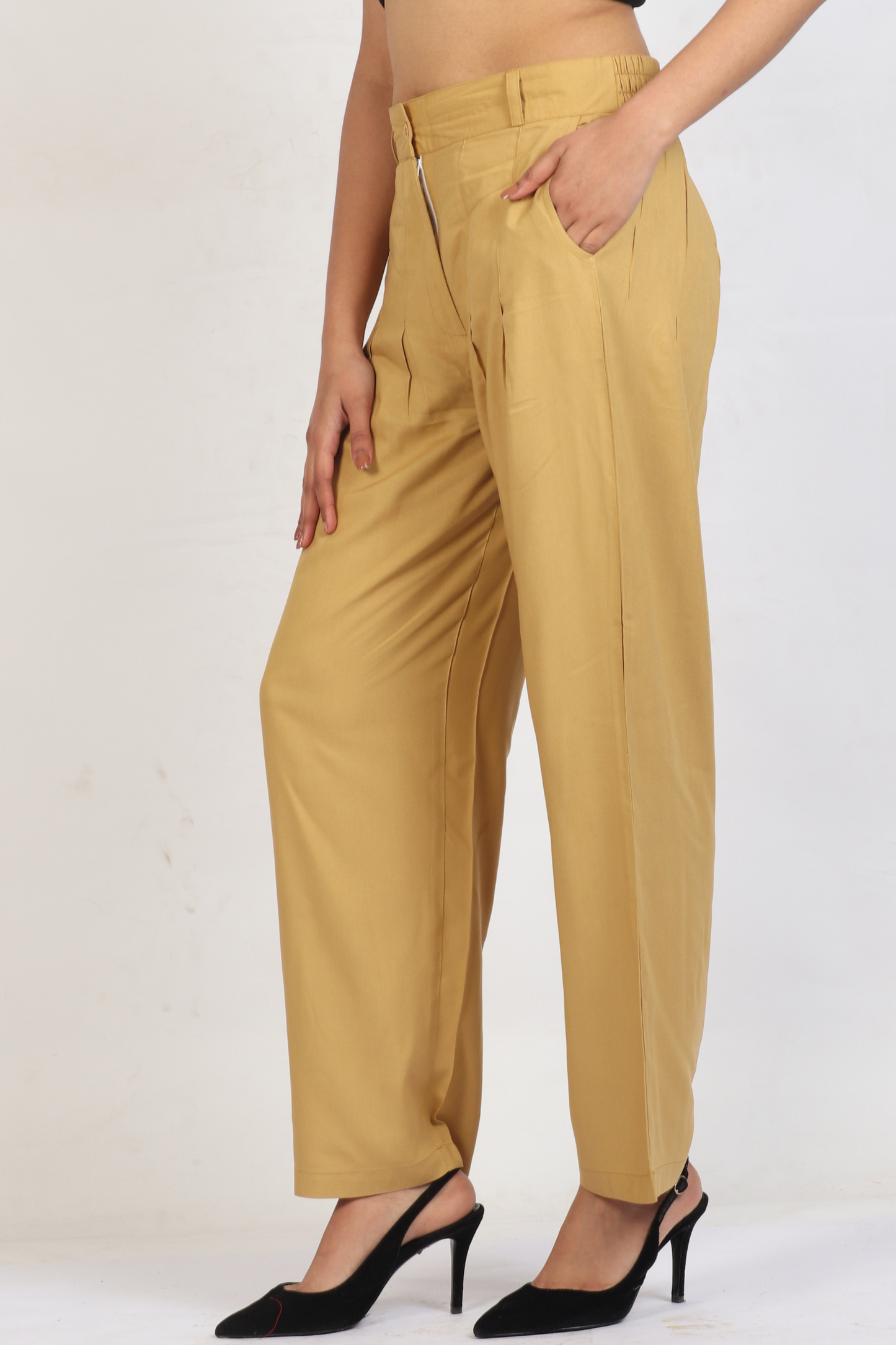 Beige Palazzos with Inverted Pleats